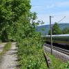 An der Bahnlinie zwischen Sackenbach und Neuendorf sind Bäume der Schiene zu nahe gekommen. Die Frage, wer sie entfernen soll, sorgte zuletzt für einigen Wirbel. Nun zeichnet sich eine Lösung ab.Foto: Ungemach