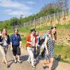 Spaß im Grünen: Weinhoheiten aus der Region, allen voran die Theilheimer Weinprinzessin Adriana Hain und die fränkische Weinkönigin Melanie Dietrich, genossen die Wanderung auf dem Altenberg.