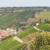 60 Kilometer Weinbergswege gibt es in der Gemeinde Randersacker.