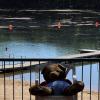 Der Grafenrheinfelder Badesee ist zweigeteilt, vorne ein Schwimmbereich, hinter der Absperrung beginnt das Naturschutzgebiet. Das macht die Bekämpfung der Algen nicht leichter.