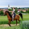 Die Weinprinzessin Corinna Barthelme ist die neue Repräsentantin des Frankenwinheimer Rosenbergs. Sie ist oft auch hoch zu Ross um Frankenwinheim anzutreffen, für die Presse auch mal im Weinfestgewand.