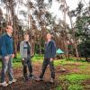 Thomas Biechele-Kusch, Leiter der Umweltstation im Tierpark Sommerhausen, Revierförster Andreas Langguth und Tierparkleiter Thomas Dodenhoff (von links) im Mufflon-Gehege des Parks. Die Pilzschäden an den alten Kiefern haben sich in den vergangenen Tagen rasant ausgebreitet.