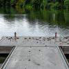 Auch auf dem Badesteg am Baggersee findet sich Gänsekot. Unappetitlicher geht es nicht.