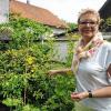 Dem grünen Daumen ihres Mannes Diethard hat es Sabine Dittmar nach eigenem Bekunden zu verdanken, dass im heimischen Garten nicht nur schmückende Blumen gedeihen, sondern auch Nützliches, wie Gemüse.
