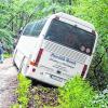 (swe)   Die Kindergartenkinder aus dem Kindergarten St. Jakobus Burgwindheim sangen bei der Eröffnung des Fledermauspfads sowohl im Steigerwaldzentrum, als auch im Wald fröhliche Lieder. Auf dem Rückweg mussten sie aber einen großen Schrecken verdauen. Auf der Forststraße in Richtung Baumwipfelpfad geriet ihr Bus zu weit nach rechts und rutschte in den Graben. Mit vereinten Kräften bargen Mitarbeiter der Staatsforsten, Politiker und Pressevertreter die Kinder, Mütter und Erzieherinnen durch das Fenster der Fahrertür. Im Restaurant-Gebäude des Baumwipfelpfades wurden sie umsorgt, bis sie sicher nach Hause gebracht werden konnten. Bis auf den Schrecken und ein paar blaue Flecken blieben alle Businsassen unverletzt.