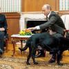 Provokation? Bundeskanzlerin Angela Merkel mag Hunde nicht besonders. Russlands Präsident Wladimir Putin brachte „Koni“ 2007 trotzdem zum Gespräch mit.
