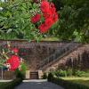 Ein Zeugnis bürgerlicher Gartenbaukunst: der Ronkarzgarten in Gemünden.