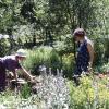 Ein Paradies für alle, die sich für Kräuter interessieren: der Kräutergarten in Hohenroth. Ein Paradies für alle, die sich für Kräuter interessieren: der Kräutergarten in Hohenroth.