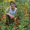 Astrid Späth mit Freilandtomaten in ihrem Garten, Tomaten Astrid Späth mit Freilandtomaten in ihrem Garten, Tomaten