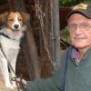 Sie waren ein tolles Team: Graham Ford und seine Amy