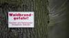 Hitze und kaum Regen: Für die Feuerwehr und den Forst bedeutet das höchste Alarmbereitschaft, denn gerade der Wald ist dadurch brandgefährlich geworden. 