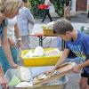 (rv)   Weißkohl und Salz genügen als Zutaten, um Sauerkraut einzumachen. Dann braucht man nur noch einen Gärbehälter und ausreichend Druck, damit das Sauerkraut gut reifen kann. Karin Birkner ist Fachfrau für Sauerkrauteinmachen. Unter ihrer Regie hatte der Verein für Gartenbau und Landespflege in den Hof der Familie Brändler eingeladen, um eine alte Tradition aufleben zu lassen. In einigen Haushalten fanden sich noch alte Weißkrauthobel, große Krautstampfer und Gärtöpfe, die mitgebracht wurden. Stefan Firsching hatte eigens einen großen Krautstampfer neu angefertigt. Dass das Weißkohl hobeln eine schweißtreibende und für die Finger gefährliche Arbeit ist, bemerkten die Akteure schnell. Schon nach kurzem gab es einen blutigen Hobelfinger, und die Arme der Krautstampfer wurden deutlich schwerer. Rund 30 große Weißkrautköpfe wurden in über vier Stunden feingehobelt und dann gesalzen, anschließend im Topf so lange gestampft, bis sich genügend Flüssigkeit abgesetzt hat. Vor allem Salz und Druck spielen bei der Herstellung des Sauerkrauts eine entscheidende Rolle, denn Salz und Druck helfen die Zellwände des Kohls zu zerstören, klärt Karin Birkner auf. Dadurch können aus den Blättern Wasser und Luft entweichen, so dass der Gärungsprozess in Gang gesetzt wird. Währenddessen bildet sich der typische Geruch und Geschmack des sauren Krautes aus. Zum Schluss wird der Sauerkrauttopf mit einem Tuch bedeckt, mit einem Holzbrett luftdicht verschlossen und mit einem Stein beschwert. Zum Lagern kommt der Behälter an einen kühlen und dunklen Ort. Nach vier Wochen ist das Sauerkraut fertig.