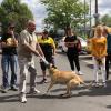 Jährlich gibt es etwa 2000 Angriffe von Hunden auf Briefträger. Aus diesem Grund hat die Post in Schweinfurt ein Training für ihre Zusteller organisiert.