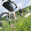 Raus in die Natur: Gemeinsam mit dem Landgasthof Kessler in Frammersbach bietet die Main-Post eine geführte Mountainbike-Tour im Bikewald Spessart an.