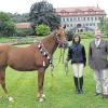 Edles Pferd in edlem Umfeld: Silvia Naumann und ihr Asilaraber mit Hausherr Erbgraf zu Castell-Castell im Schlosspark. Am Wochenende wird in Castell der Internationale Asil–Cup ausgerichtet.