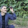 Gute Aussichten: Der Kleinochsenfurter Winzer Hugo Roth ist, genauso wie seine Kollegen mit dem diesjährigen Traubenwachstum zufrieden. Er prüft schon einmal die Grad Öchsle, damit die Lese für den Bremser in den nächsten Tagen beginnen kann.
