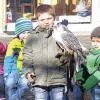 Falkner im Kindergarten.
