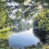 Idylle im Spessart: Kartause Grünau (hier ein Archivbild), ist ein beliebtes Wanderziel im Naturpark Spessart, der seit 50 Jahren besteht.