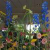 Farbenfrohe Kreationen machen Sommerlaune. Farbenfrohe Kreationen machen Sommerlaune.