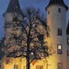Absolute Renner: Weihnachtsmärkte auf Schlössern und Burgen sind aktuell sehr gefragt. Unser Bild zeigt den Budenzauber am Schloss in Lohr.