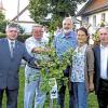 Baum zum Zeichen der Freundschaft:  Zum 20-jährigen Bestehen der Partnerschaft zwischen Lubniany und Arnstein pflanzten (von links) Bürgermeister Krystian Baldy, Altbürgermeister Dieter Wystup, Zweiter Bürgermeister Erwin Feser, Bürgermeisterin Linda Plappert-Metz und Kulturreferent Krystian Czech einen Freundschaftsbaum.