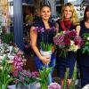 Auszeichnung: Das Blumengeschäft Blumen Zaak wurde bei seiner ersten Prüfung von Fleurop mit der vollen Punktzahl von vier Sternen belohnt. Das freut natürlich das Team mit (von links) Linda Lippert, Inhaberin Stephanie Wurster und Antje Greubel.