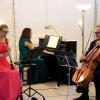 Bei der Sommernachtsserenade spielte das "Trio TonArt" im Romantikgarten der Arnsteiner Burg.