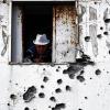Bangen vor der Bodenoffensive: Ein Mann blickt aus einem Fenster seiner Wohnung in Ashkelon. Die israelische Stadt wurde am Samstag mit Raketen beschossen.Foto: dpa