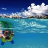 Badewannenwarm das Wasser: Französisch Polynesien ist eine einzige Verlockung für Müßiggänger, Schnorchler und Taucher.