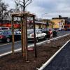 Ein teures Pflaster: der Ausbau der Nürnberger Straße. Foto: THERESA MÜLLER
