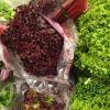 Täglich frischer Salat im Supermarkt-Regal, zu jeder Jahreszeit – das wünschen sich die meisten Verbraucher. Wo und wie der Salat produziert wird, das hinterfragen die wenigsten. Diese Fragen stecken ebenfalls hinter der Debatte um die geplante Salatzuchtanlage in Wiesentheid.