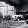 Kritik zurückgewiesen: Der Museumsbeirat des Museums Georg Schäfer verteidigt die Ausstellung „Heinrich Zügel“. Der Tiermaler – Blick in sein Atelier – sei unpolitisch gewesen.