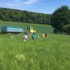 Dem Jagdvorstand Helmut Keidel und den  Kindern  vom Waldkindergarten Rimpar unter der Leitung von Patrizia Geißler, liegen die Natur und Tierwelt am Herzen. Landwirt Michael Keidel unterstützte das Suchen nach jungen Rehkitzen in seinen Mähflächen mit den Kindern. Es war für die Kinder ein aufregender Vormittag in der Wiese und Natur.Von: Petra Keidel, Ortsbäuerin Rimpar