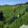 Dem Jagdvorstand Helmut Keidel und den  Kindern  vom Waldkindergarten Rimpar unter der Leitung von Patrizia Geißler, liegen die Natur und Tierwelt am Herzen. Landwirt Michael Keidel unterstützte das Suchen nach jungen Rehkitzen in seinen Mähflächen mit den Kindern. Es war für die Kinder ein aufregender Vormittag in der Wiese und Natur.Von: Petra Keidel, Ortsbäuerin Rimpar
