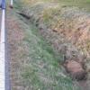 Elf Wildschweine zur Strecke gebracht Kimmelsbach, Gde. Bundorf, Lkrs. Haßberge - An Ostersonntag, kurz vor sechs Uhr, war ein 42-Jähriger mit seinem Mercedes bei einsetzender Dämmerung von Kimmelsbach in Richtung Stöckach unterwegs. Auf freier Strecke tauchte plötzlich eine große Rotte Wildschweine im Scheinwerferlicht auf, die auf der Straße standen. Der Autofahrer konnte den Zusammenstoß mit den Tieren nicht mehr vermeiden und sein Fahrzeug glücklicherweise in der Spur halten. Bis zum Eintreffen der Polizei und des Jagdpächters gegen 07.00 Uhr ließ sich dann das ganze Ausmaß dieses Wildunfalles erkennen. Auf einer Länge von rund 100 Metern lagen im Straßengraben und auf der Straße aufgereiht wie an einer Schnur insgesamt elf tote ausgewachsene und halbwüchsige Wildschweine, zwei davon steckten noch unter dem total beschädigten Pkw, der aufgrund seines Alters einen Zeitwert von vielleicht 2000 Euro hatte. Der 84-jährige Jagdpächter meinte verblüfft, daß ihm so etwas in seinem ganzen Leben noch nicht vorgekommen sei. Beim Verladen und anschließenden Verwerten der Tiere  mußten mehrere Jagdgenossen mit anpacken. Da zu vermuten war, daß noch Frischlinge oder verletzte Tiere in der Nähe waren, mußte auch noch eine Nachsuche in die Wege geleitet werden. Die Staatsstraße wurde durch einen benachbarten Straßenmeister gereinigt. Desweiteren wurden in der Nacht zum Ostersonntag noch drei weitere Wildunfälle im Landkreis Haßberge gemeldet, wobei der Sachschaden auf rund 4000 Euro geschätzt wurde. An der B 26 zwischen Obertheres und Wülflingen wurde ebenfalls ein Wildschwein getötet, und zwischen Unterschleichach und Eltmann, sowie zwischen Humprechtshausen und Kerbfeld erwischte es jeweils ein Reh.