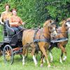Kommt zum Welsh-Pony-Treffen nach Remlingen: Die erfolgreiche Turnierfahrerin Manuela Mitnacht mit ihrer Mutter Gabriele Mitnacht vom Reit- und Fahrstall Mitnacht in Lengfeld, Rasseexpertin und Zuchtrichterin. Eingespannt sind die beiden Welsh-Ponys „Non-Stop“ und „Midnight's Golden Girl“ aus eigener Zucht.