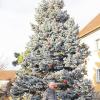 Blickfang: Der große Christbaum im Anwesen von Hans Leuner an der Rügshöfer Straße.