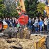 Maschinen für die Waldarbeit werden beim Holztag in Scheinfeld zu sehen sein.