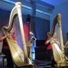 Musik, die beruhigt: das Duo „La Rose“.FOTO: Elisabeth Kerler