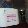 In solchen Boxen werden gespendete Organe transportiert. 