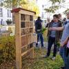 Insektenhotel am Seniorenheim: Die Schüler des P-Seminars Biologie stellten ihr Gartenprojekt vor.