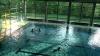 Ungestörtes Badevergnügen wie hier im Bild oder gezielter Unterricht, damit Kinder das Schwimmen lernen, wird es hier im Zeiler Hallenbad bald nicht mehr geben. Doch der Hallenbadverein kämpft weiter für ein Bad, am besten in Zeil.