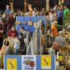 Das Saatgutfestival findet am 7. April in der Stadthalle in Grünsfeld statt.