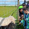 Tiere zu füttern, machte den Flüchtlingskindern riesigen Spaß.