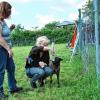 In einer Socke hatte die Hundefreunde Würstchen versteckt, doch nicht jeder Vierbeiner schnappte am Tag des Hundes in Rimpar gleich gefräßig danach. Manch ein Tier beließ es beim daran Schnüffeln.Foto: Christian Ammon
