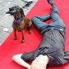 „Tarka“ erkennt Unterzuckerung sofort: Der Hund wurde beim Diabetikertreffen in Bad Mergentheim von Dr. Jolanta Wittek-Pakula vorgestellt  :