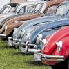 Käfer-Parade: Bunt war die Fahrzeugvielfakt beim VW-Treffen. Hauptsache war, dass diese Autos hinten einen luftgekühlten Boxermotor haben.
