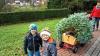 Ob daheim oder wie hier im Bild im Oberndorfer Kindergarten: Christbäume sorgen für strahlende Gesichter. Nun müssen die Bäume jedoch sachgerecht entsorgt werden. J. ROTHENBüCHER