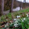 Das Tal der Brend und die Fränkische Saale zwischen Heustreu und Steinach zählen zu den Natura 2000-Gebieten. Unser Bild entstand an der Brend bei Schönau.