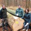 Mit einem guten Ergebnis schloss  die zwölfte Laubholz-, Wert- und Schnittholzsubmission der Forstwirtschaftlichen Vereinigung Unterfranken e.V. (FVU), bei der auch Mitglieder der Forstbetriebsgemeinschaft Haßberge (FBG) mit Wertstammhölzern teilnahmen. Auf dem Wertholzlagerplatz im Universitätsforst bei Sailershausen zogen die Organisatoren Bilanz: (von links) Georg Eckenweber und  Forstamtsrat Jürgen Schafhauser, beide vom Amt für Ernährung, Landwirtschaft und Forsten Schweinfurt/Hofheim und FBG/FVU-Geschäftsführerin Birgitt Ulrich vor der „Braut“ der Stammholzsubmission am Lagerplatz Sailershausen. Der Eichenstamm aus dem Universitätsforst Sailershausen (mit einem Volumen von 2,22 Festmetern) erzielte einen Gesamterlös von 5261 Euro.